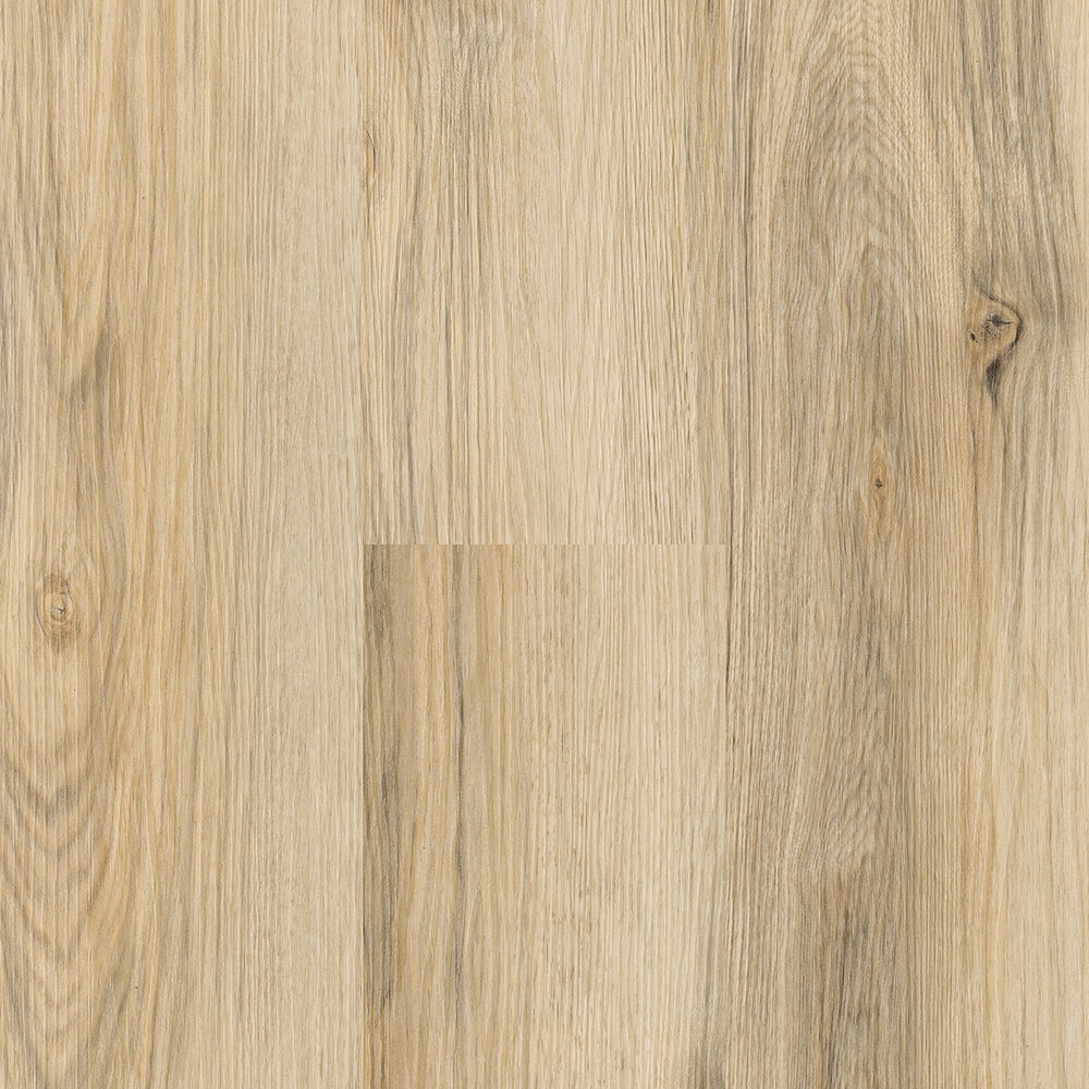 Vanilla Hickory