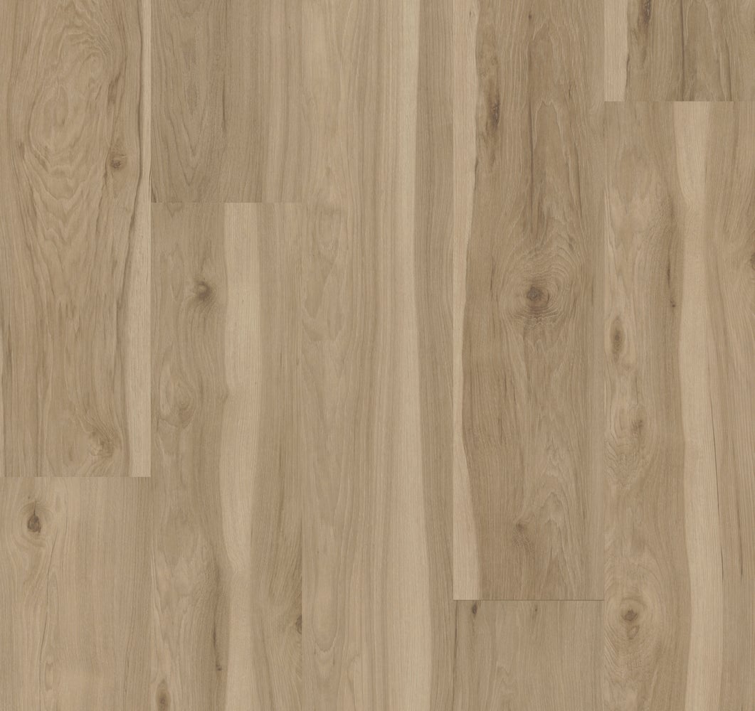 Hickory Blanca