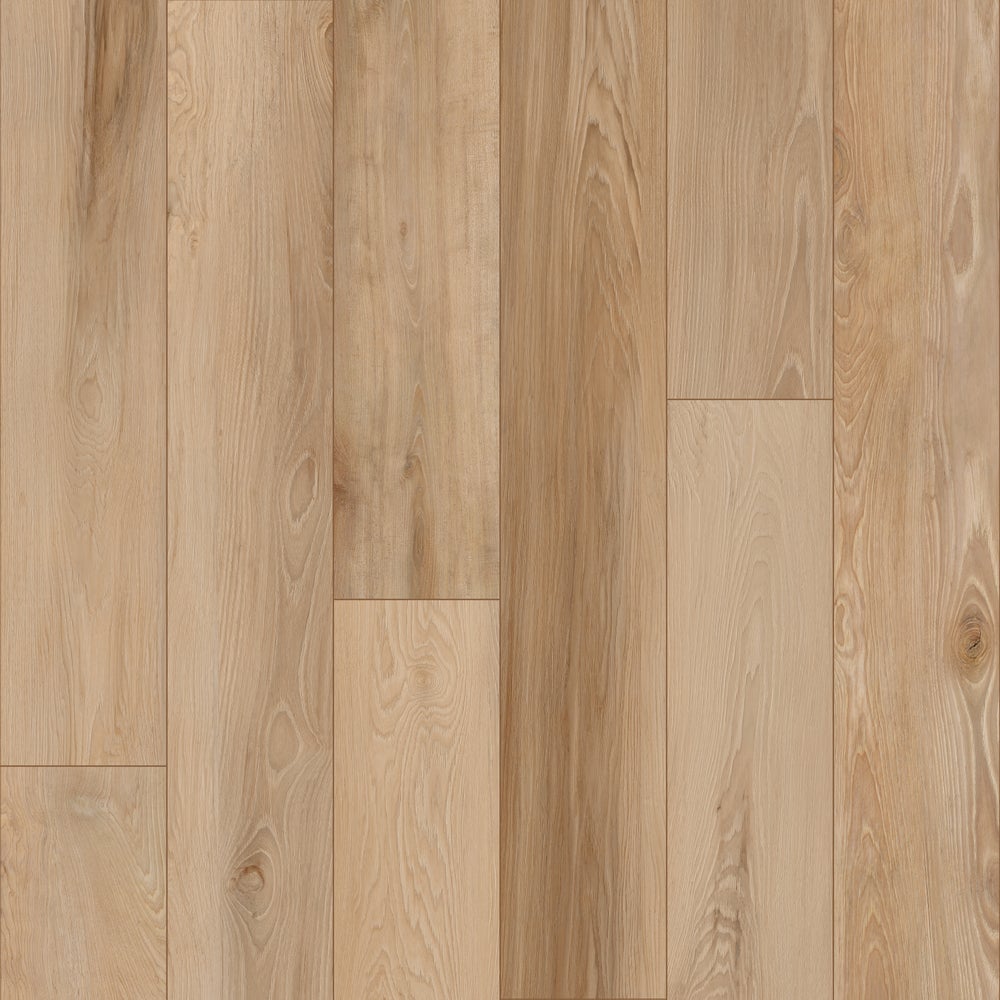 Sunshine Hickory