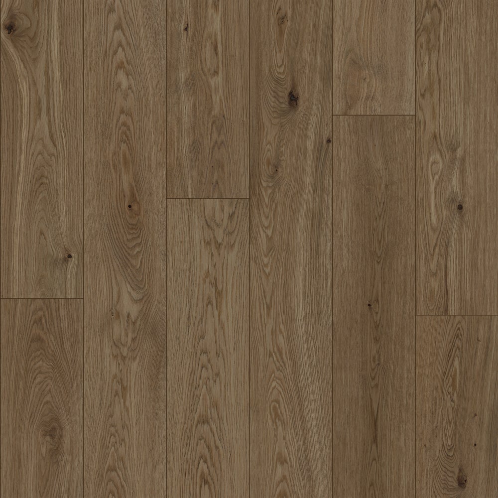 Plain Brown